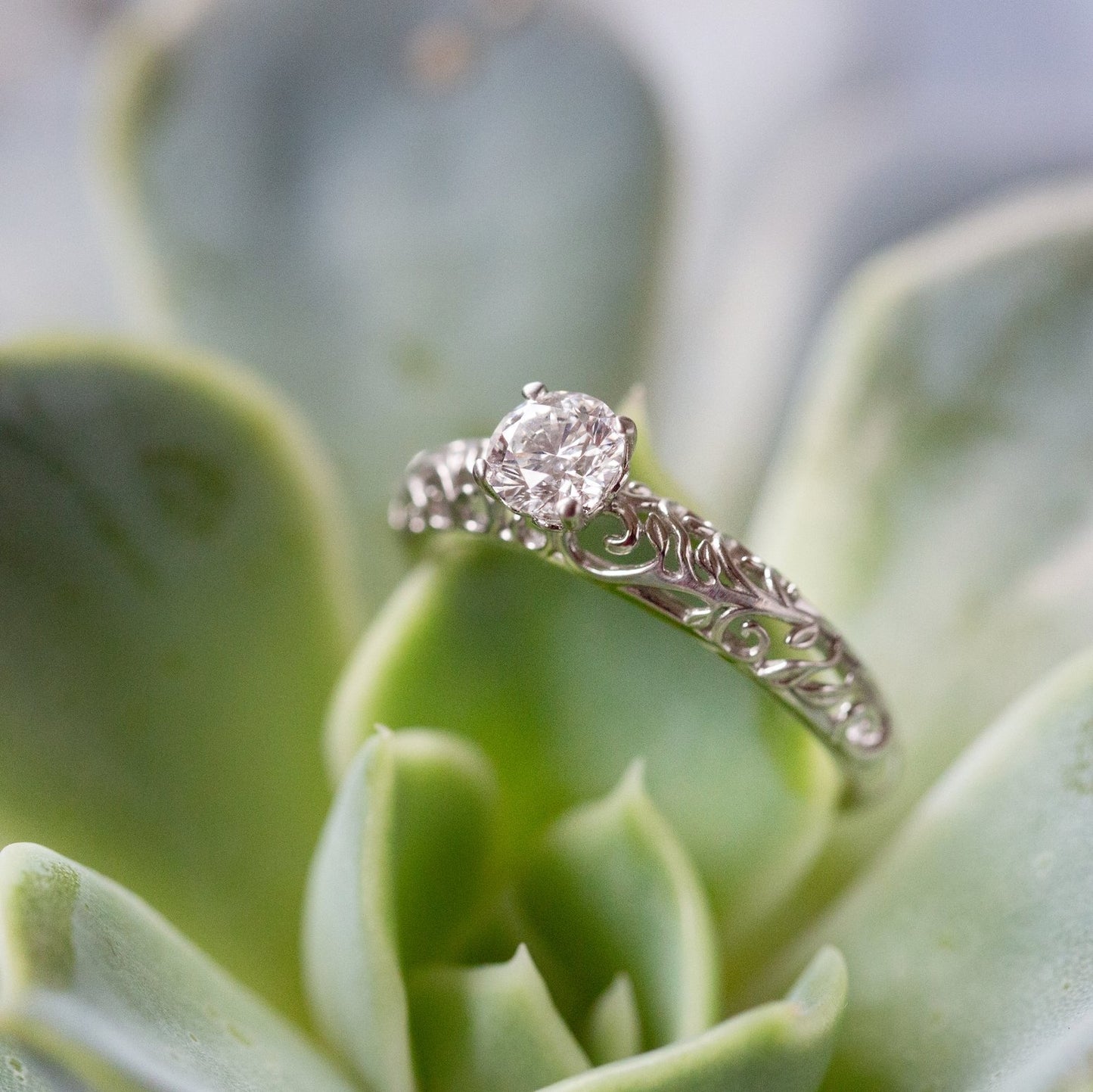 The Modern Vintage Botanical Ring - W.R. Metalarts