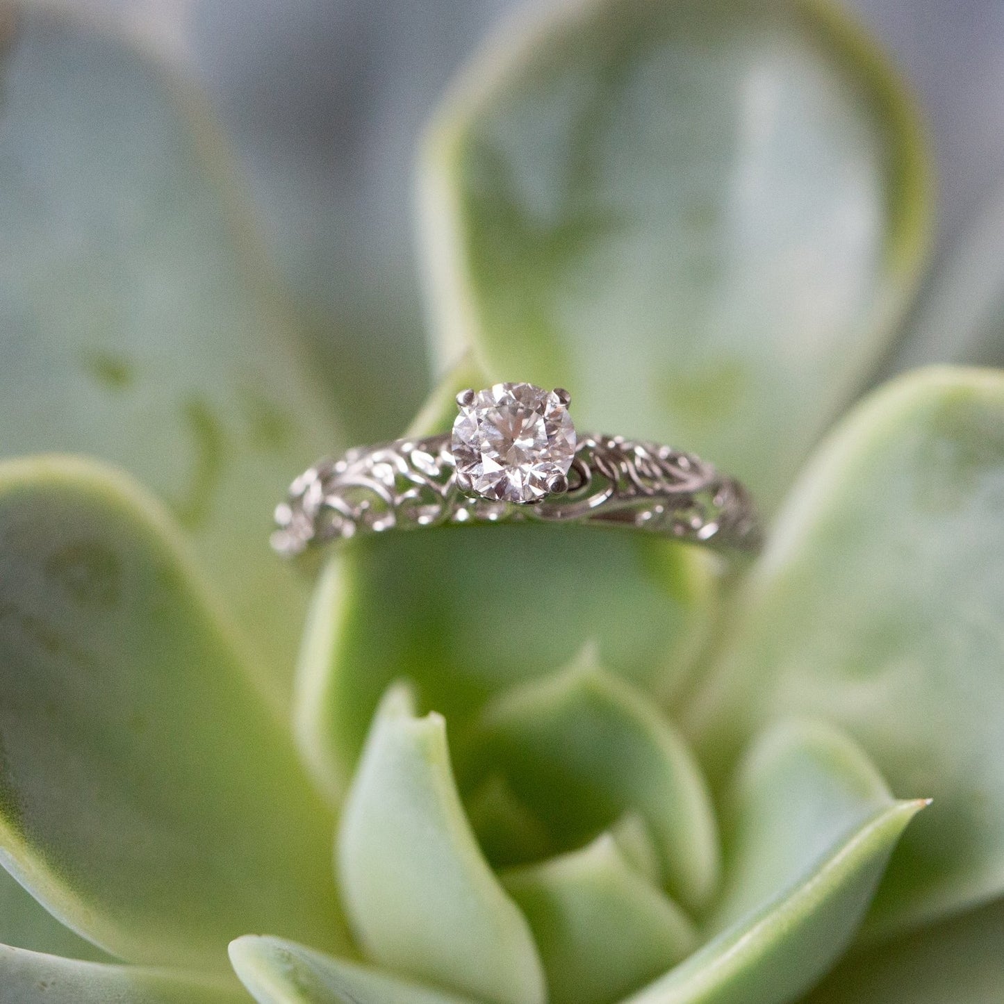 The Modern Vintage Botanical Ring - W.R. Metalarts