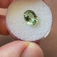 Tourmaline (TOU039)