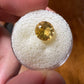 Citrine (CIT002) - W.R. Metalarts