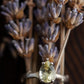 The Honeydrop Ring (Ready to ship in size 5.5) - W.R. Metalarts